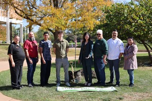 Tree Planting - 1